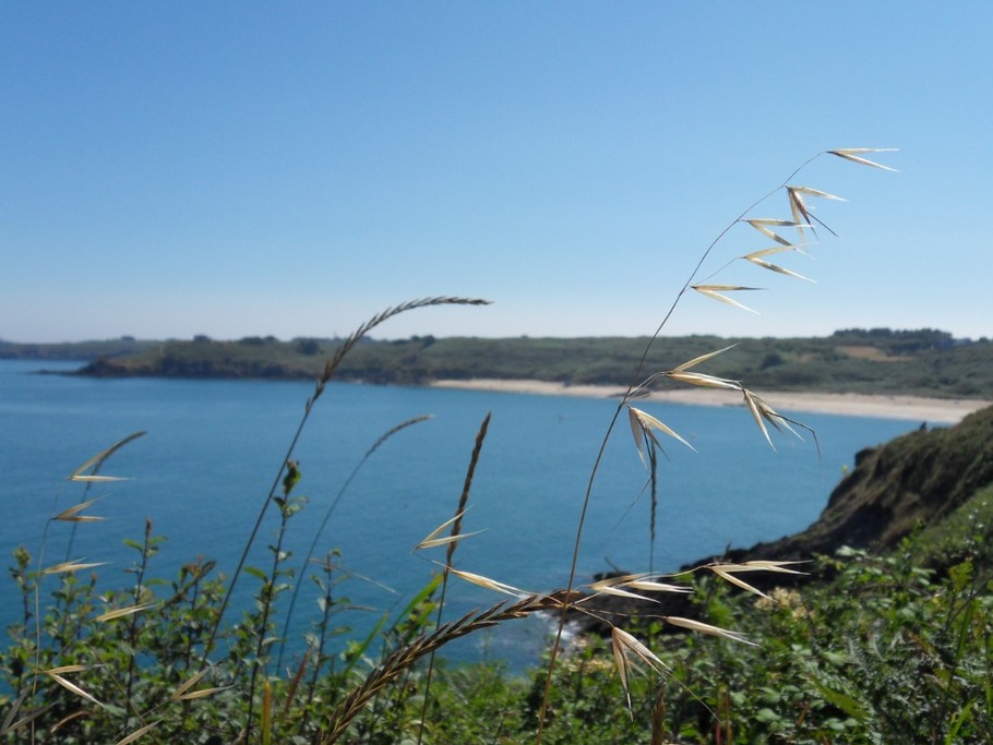 vue du sentier douanier