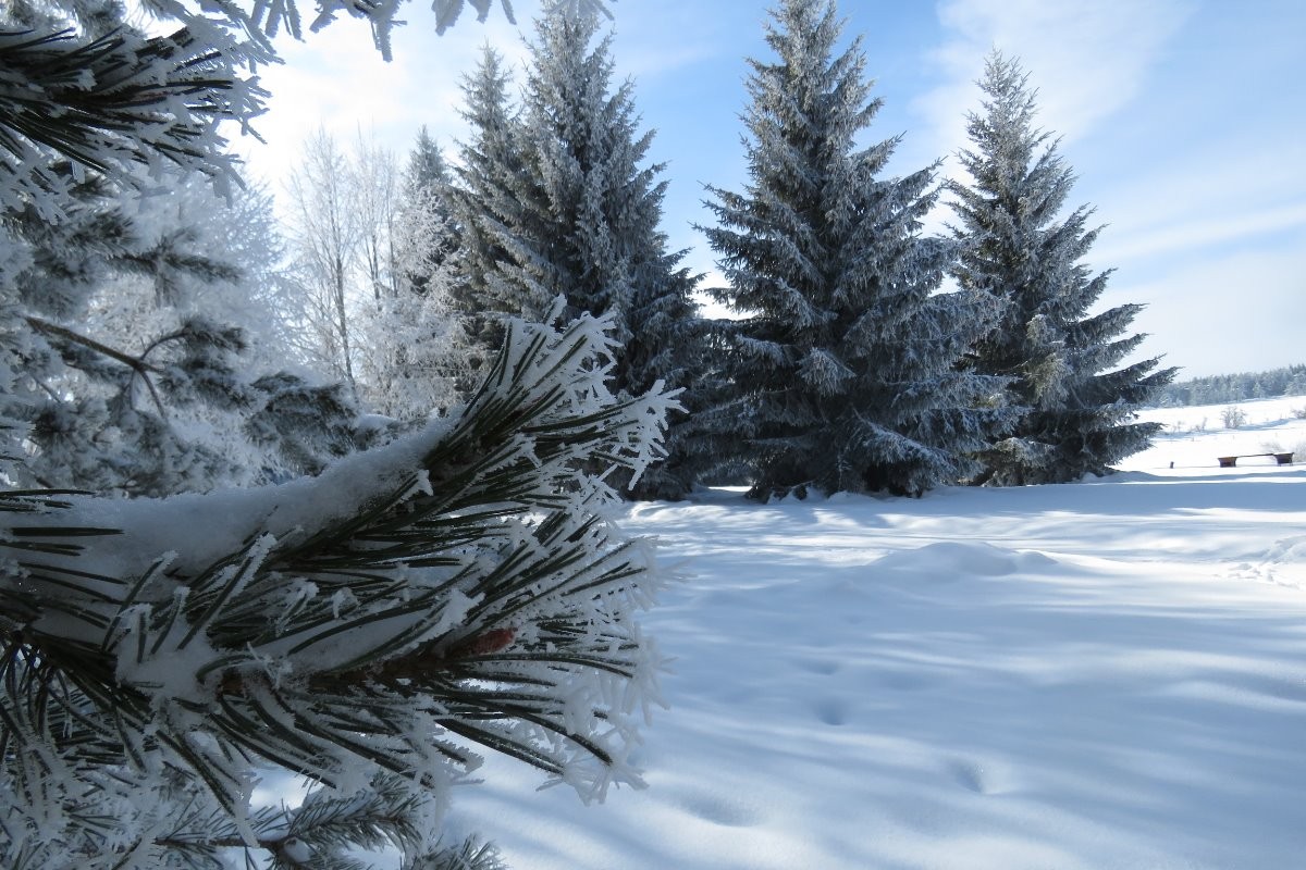 Le parc en hiver