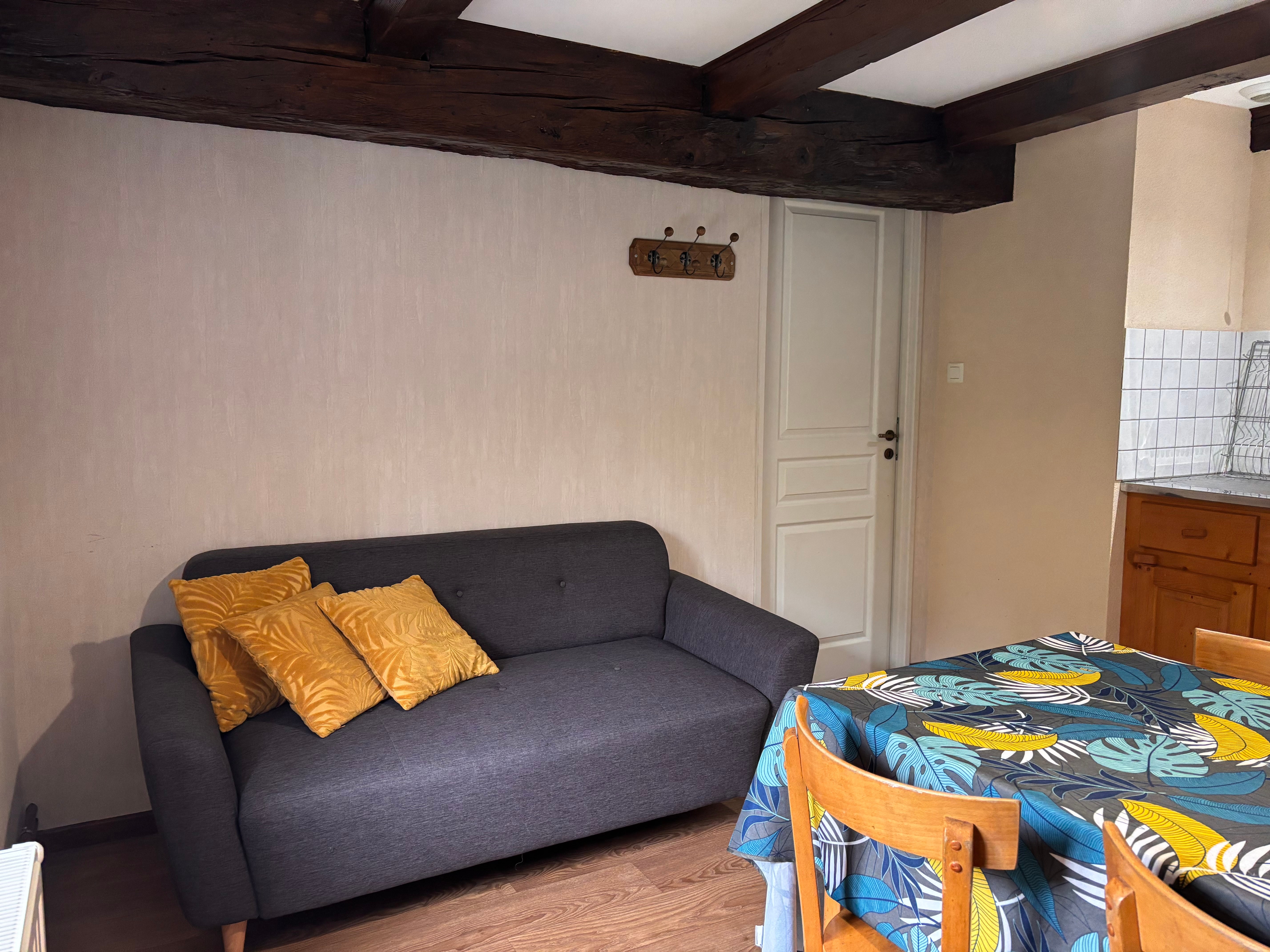 Living room - Appartement Perce-Neige