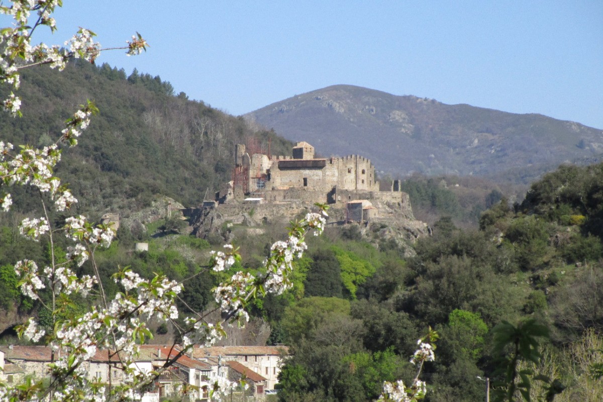 Photo n° 14 de la location