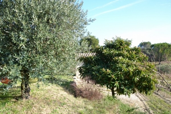 Photo n° 8 de la location