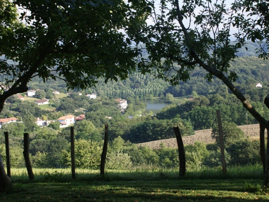 Photo n° 6 de la location