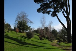 Jardin public vu de la terrasse, avec accès direct