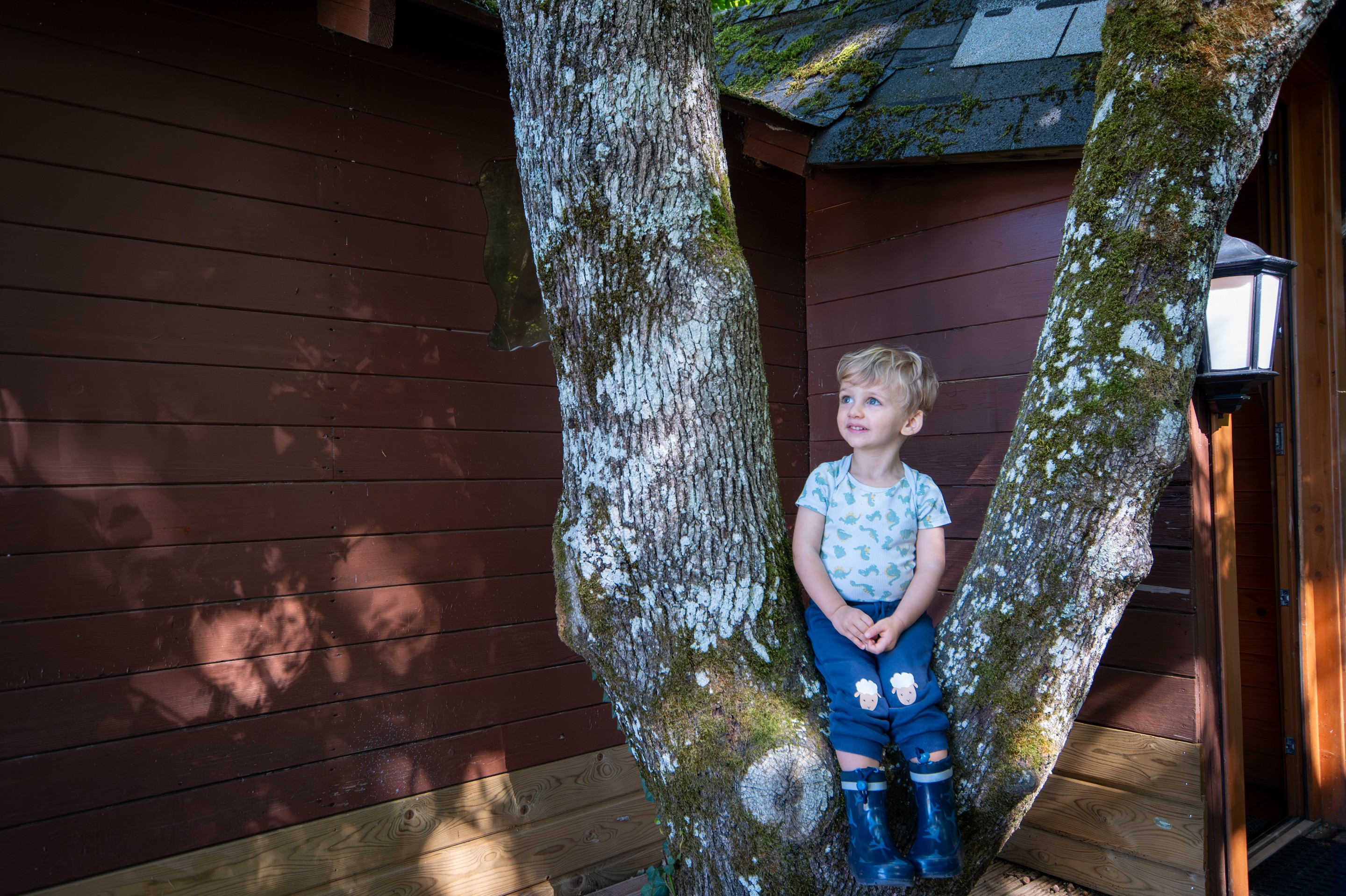 Photo n° 12 of the location