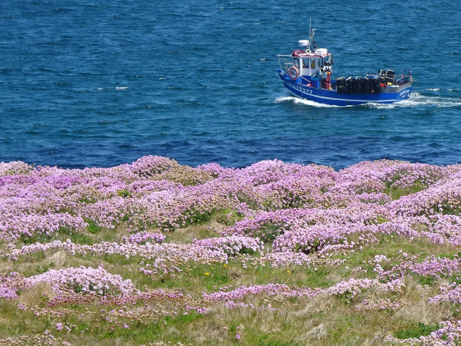 Photo n° 16 de la location