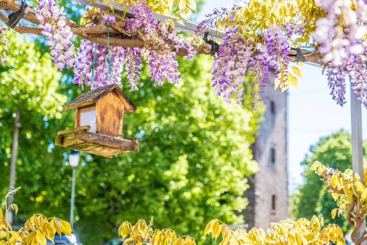 Détail de la terrasse