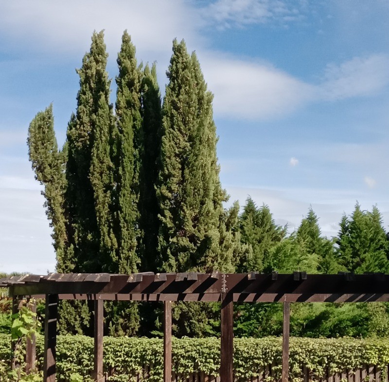 Photo n° 11 de la location