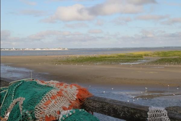 Photo n° 16 de la location