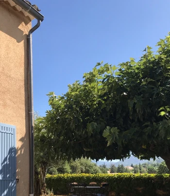 Jardin privatif, clos et équipé de mobilier de jardin et barbecue