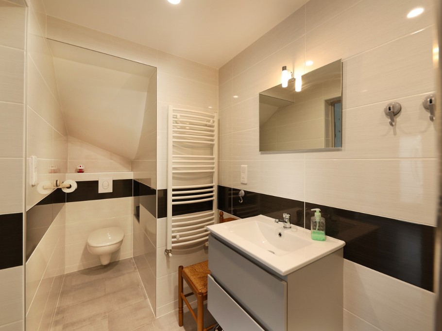 Salle d'eau avec wc - Appartement RDC Aumontzey
