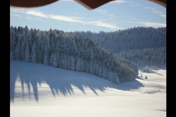 Photo n° 1 de la location