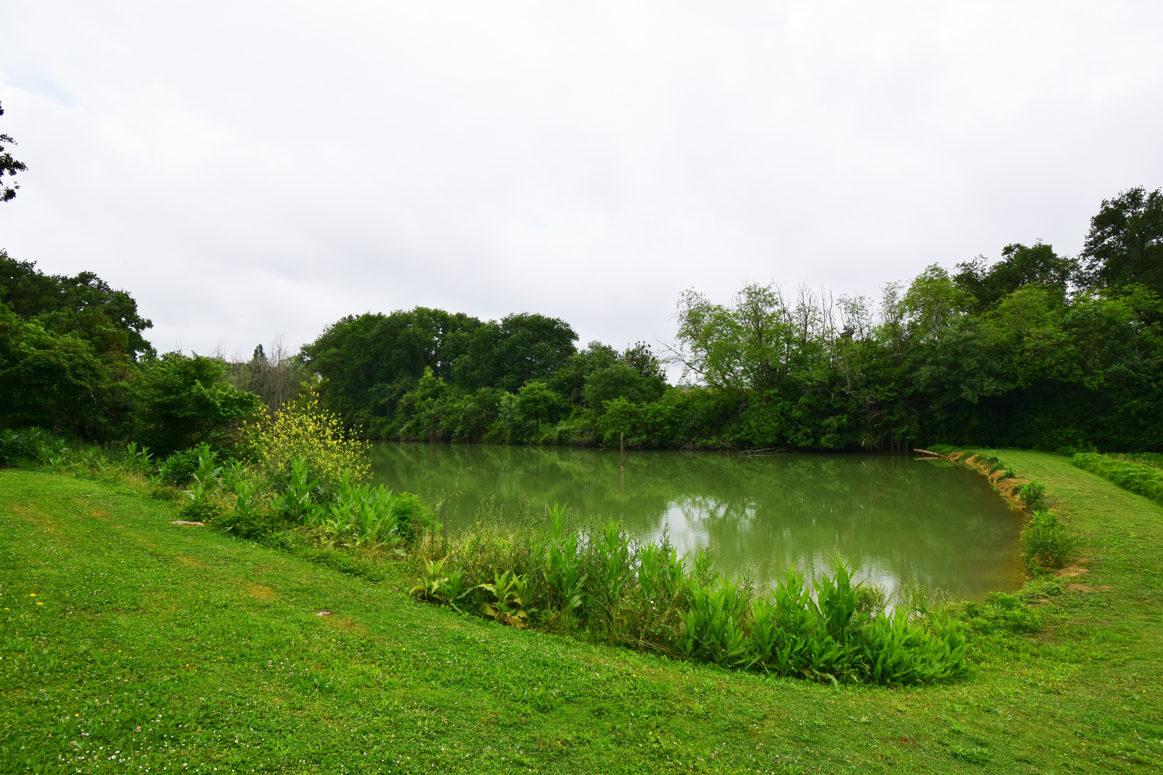 Lac privé du gîte