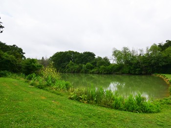 Lac privé du gîte