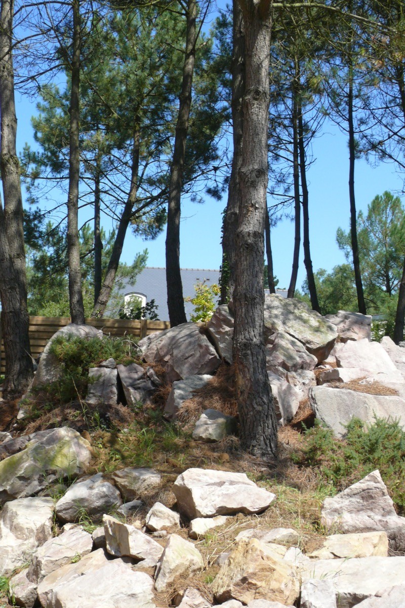 Vue du site - Les pins