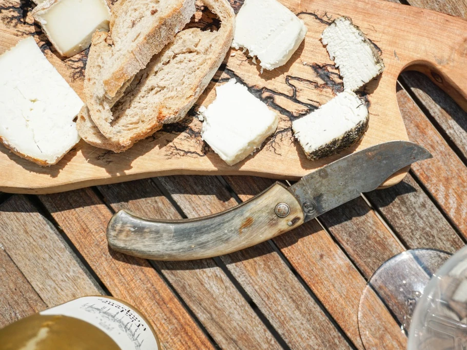 dégustation de fromages