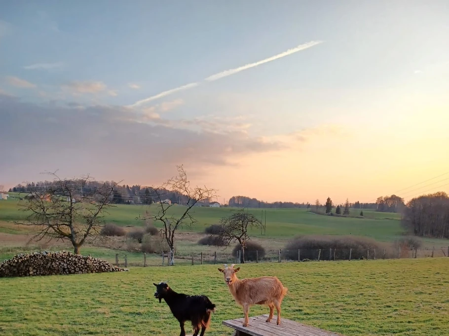 Outside - Gîte de la Forge - Le Val d'Ajol