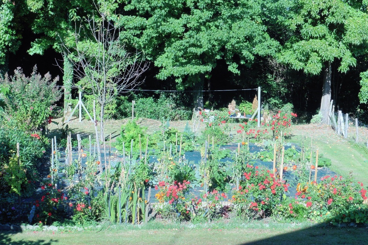 Maison Pelot_Urt_jardin