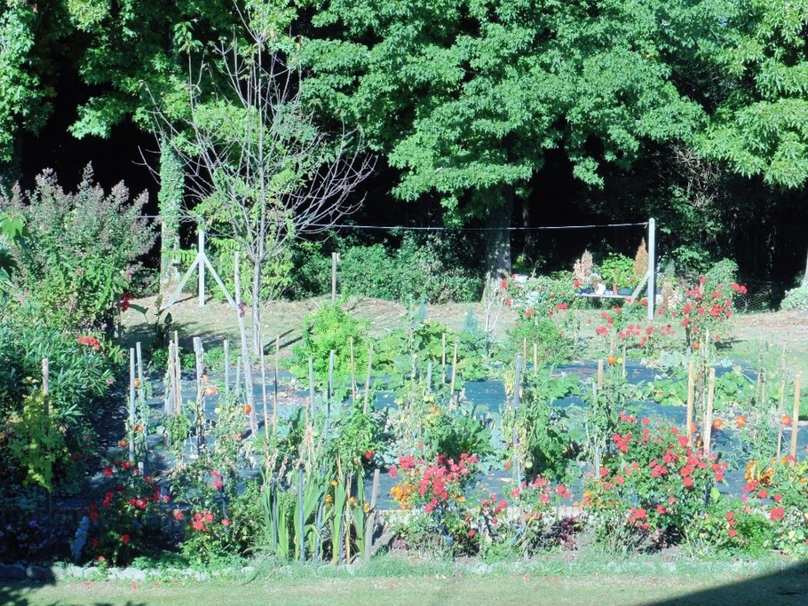 Maison Pelot_Urt_jardin