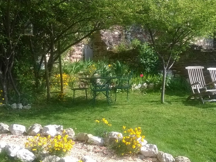 The garden