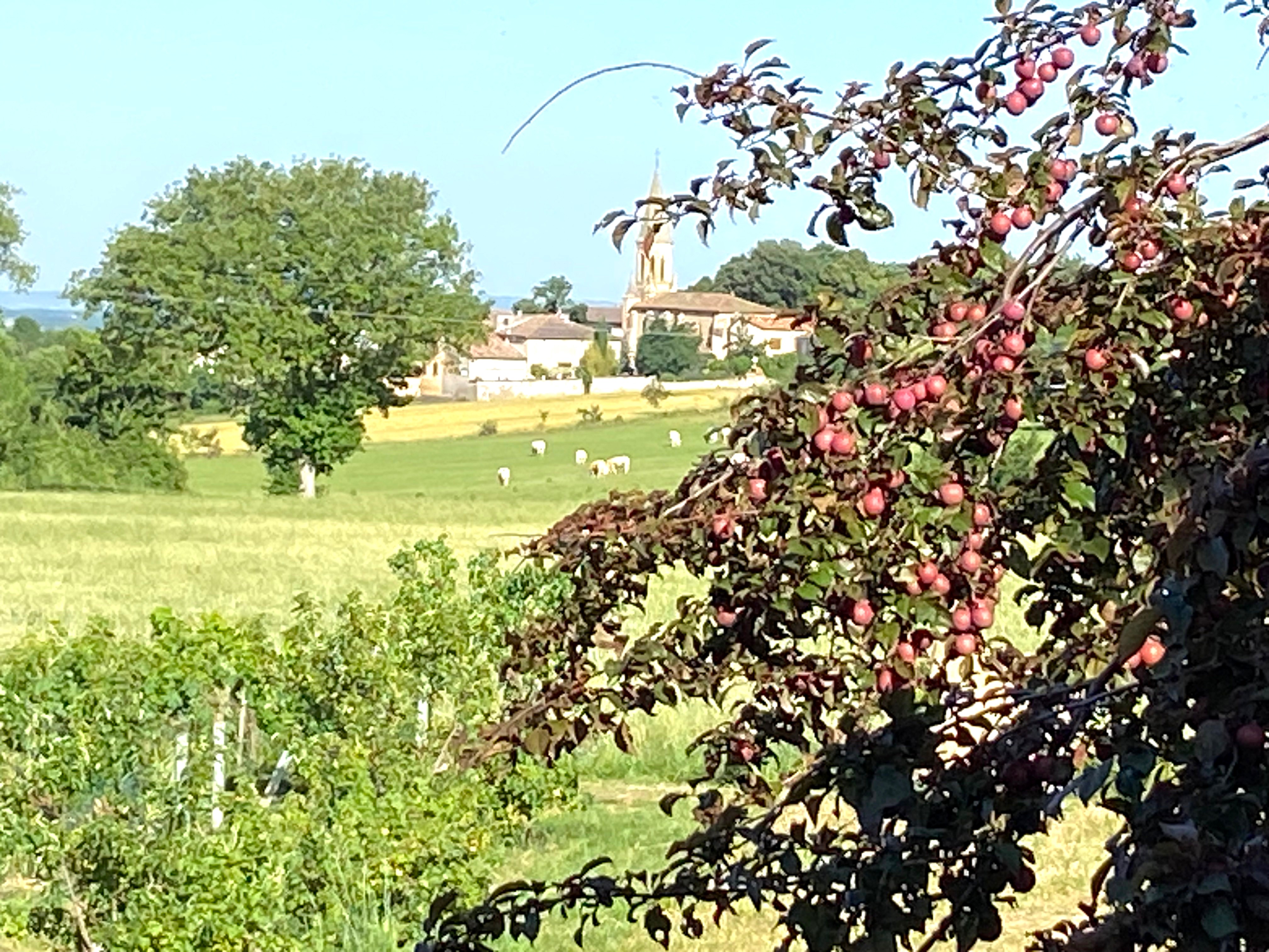 Photo n° 13 of the location