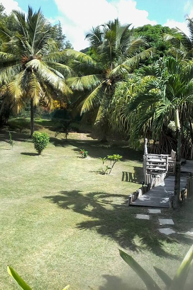 le jardin