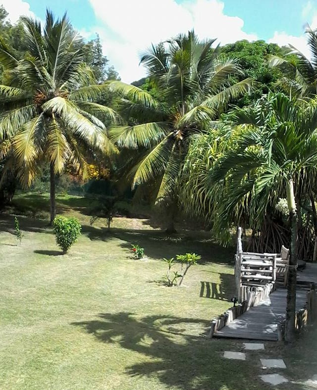 le jardin