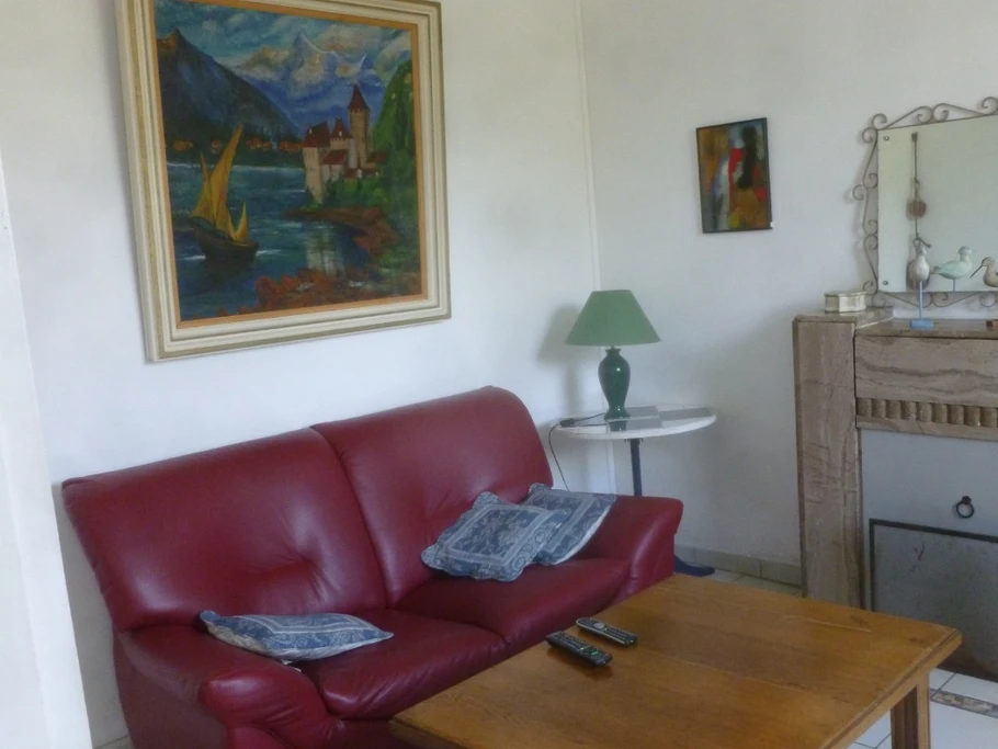 salon  1 avec télé et cheminée