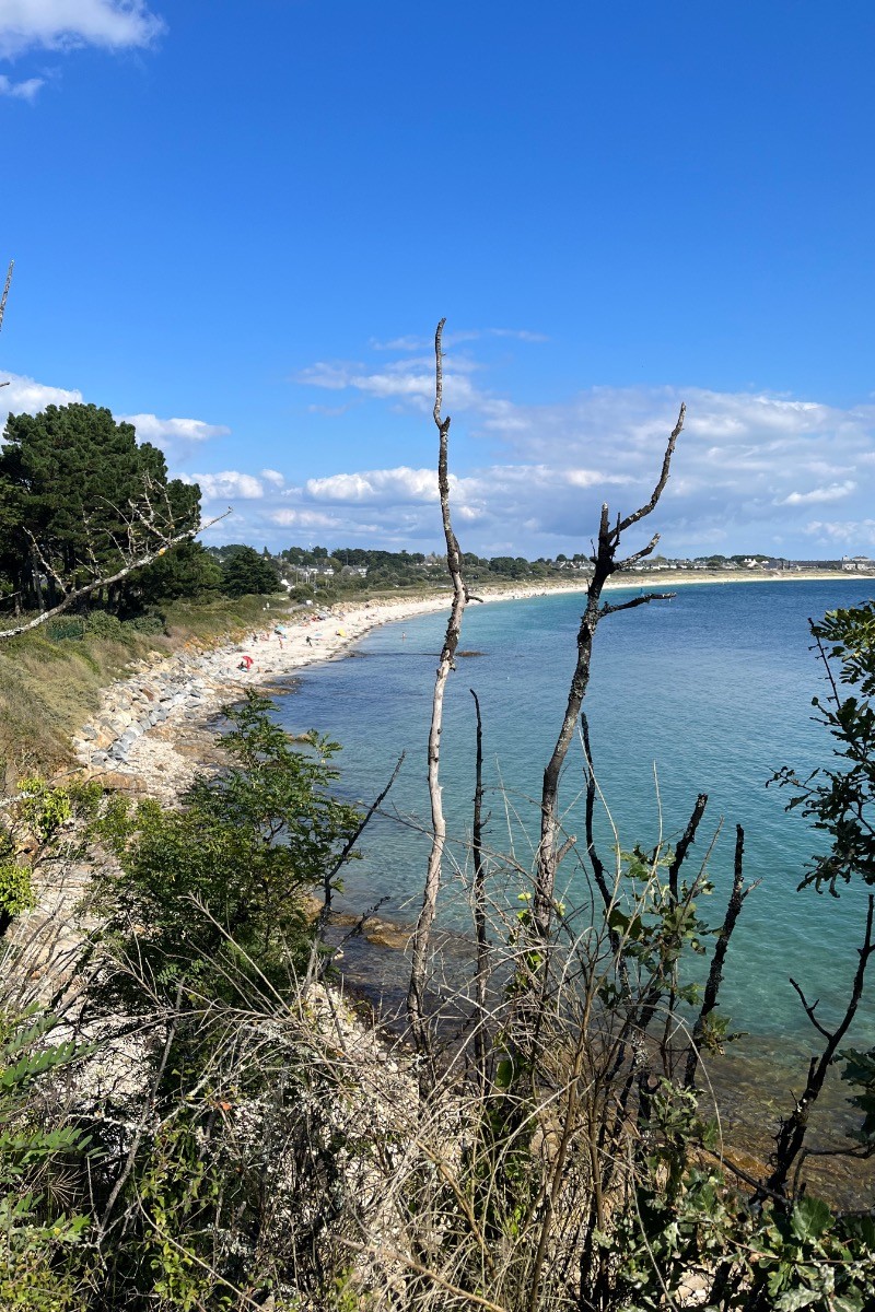 Photo n° 9 of the location