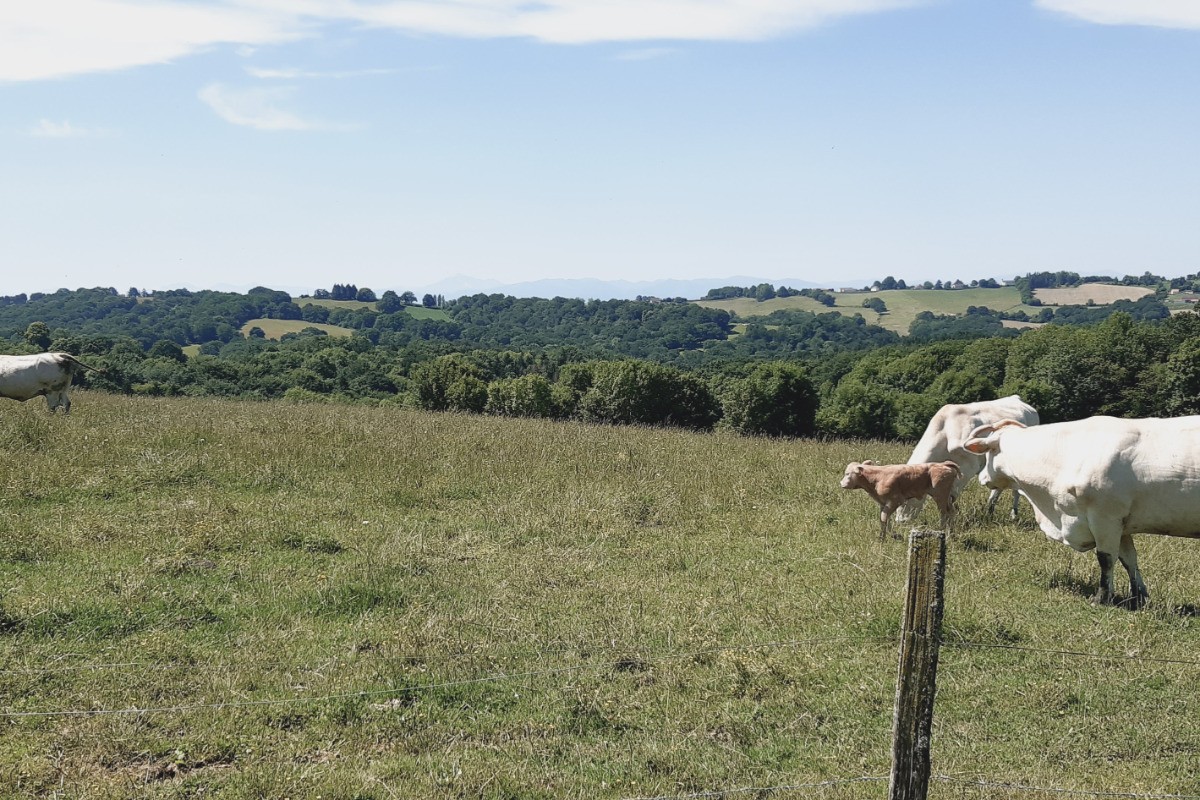 Photo n° 9 of the location