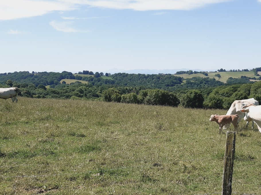 Photo n° 9 de la location