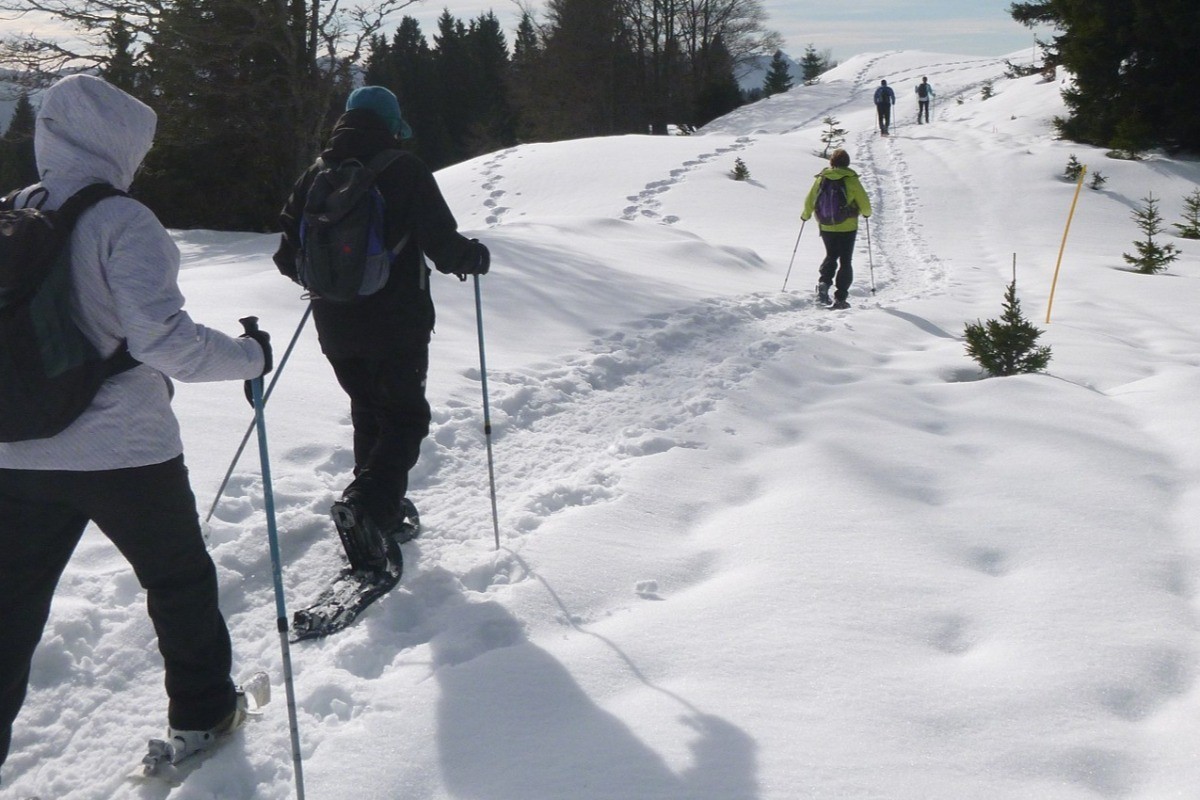 Balade en raquettes dans le Haut jura