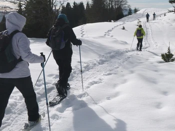 Balade en raquettes dans le Haut jura