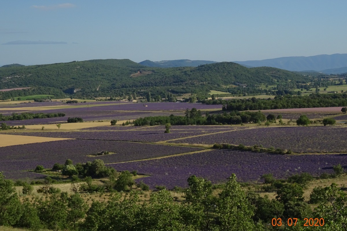 Le panorama