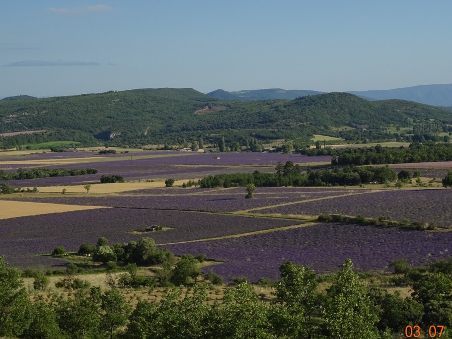 Le panorama