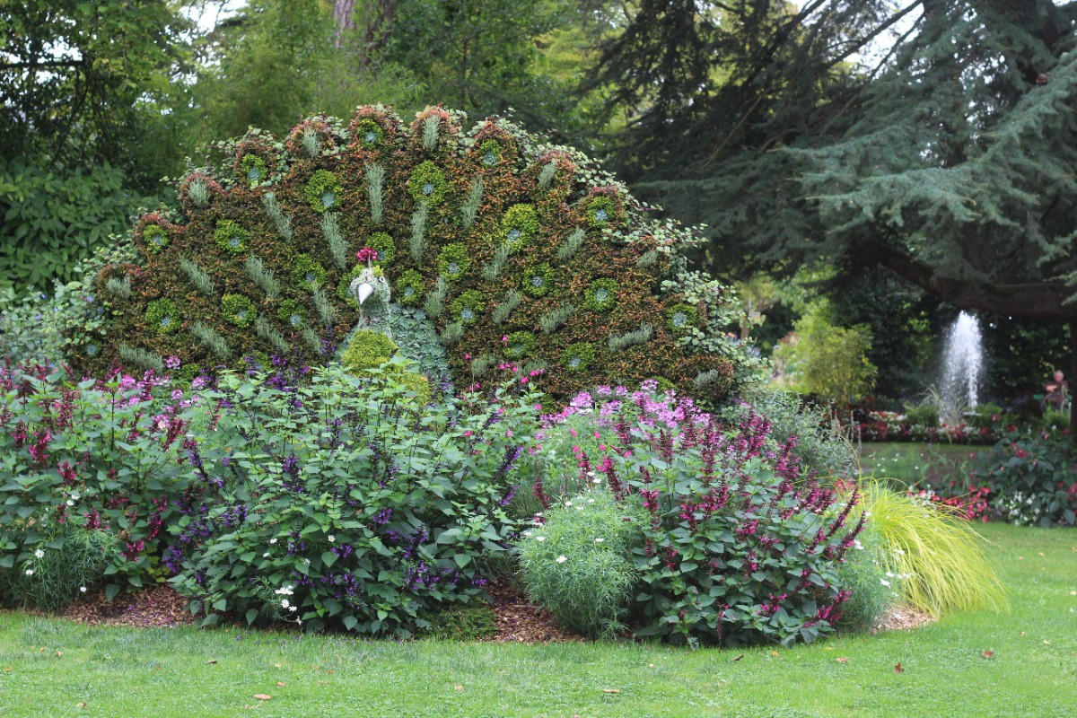 jardin des plantes_Coutances