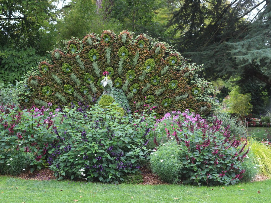 jardin des plantes_Coutances