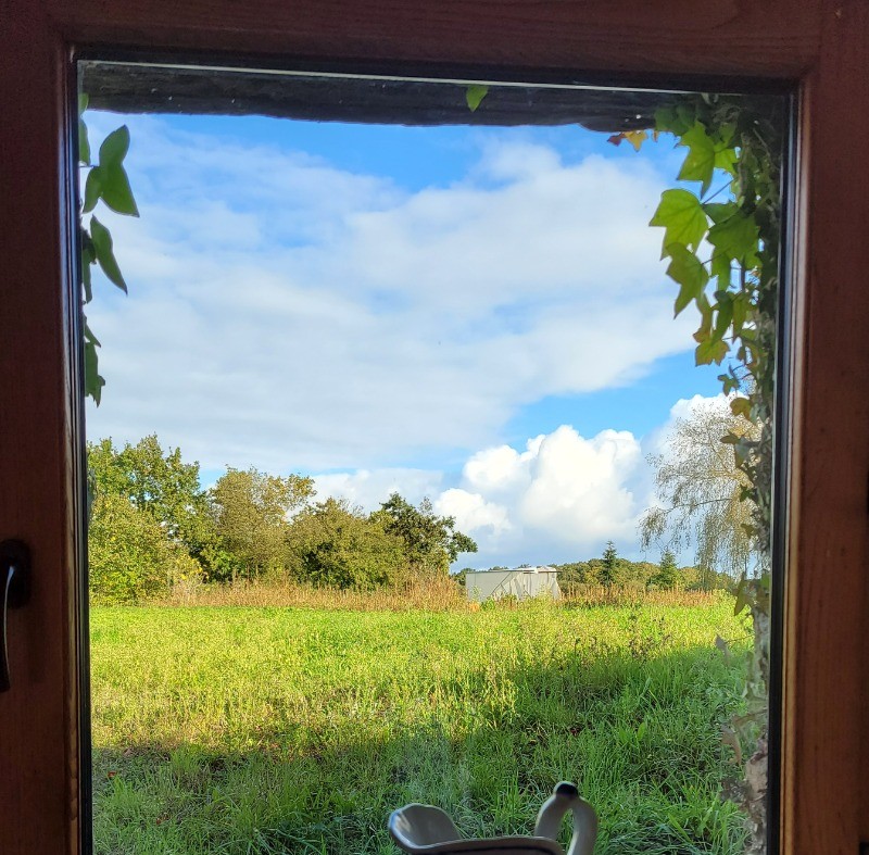 Photo n° 6 of the location