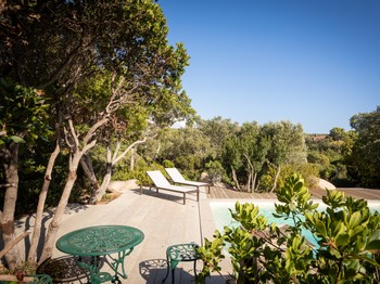 Swimming pool and terrace