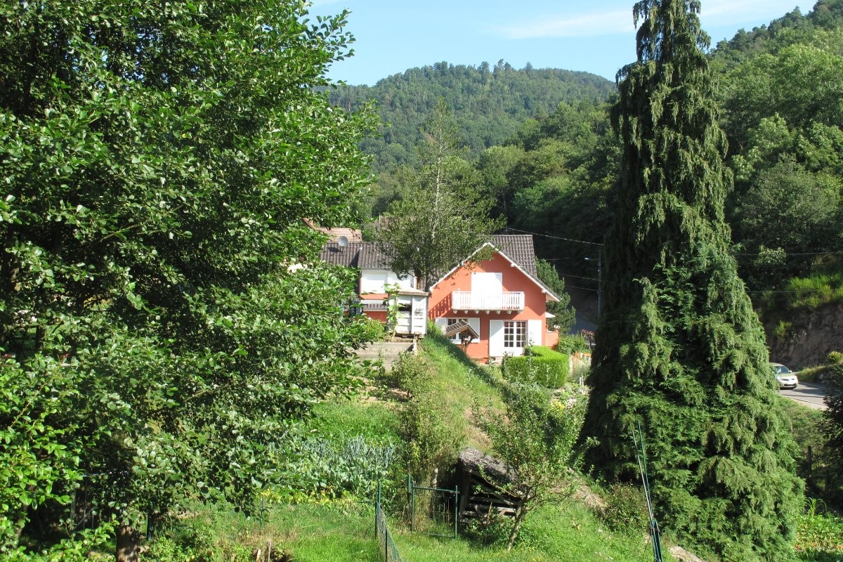 Le parc