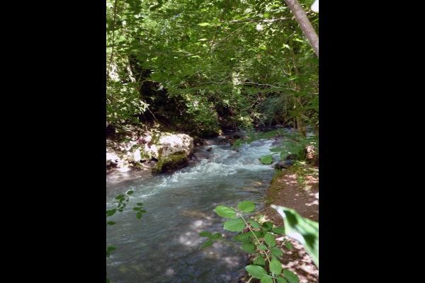 Photo n° 13 de la location