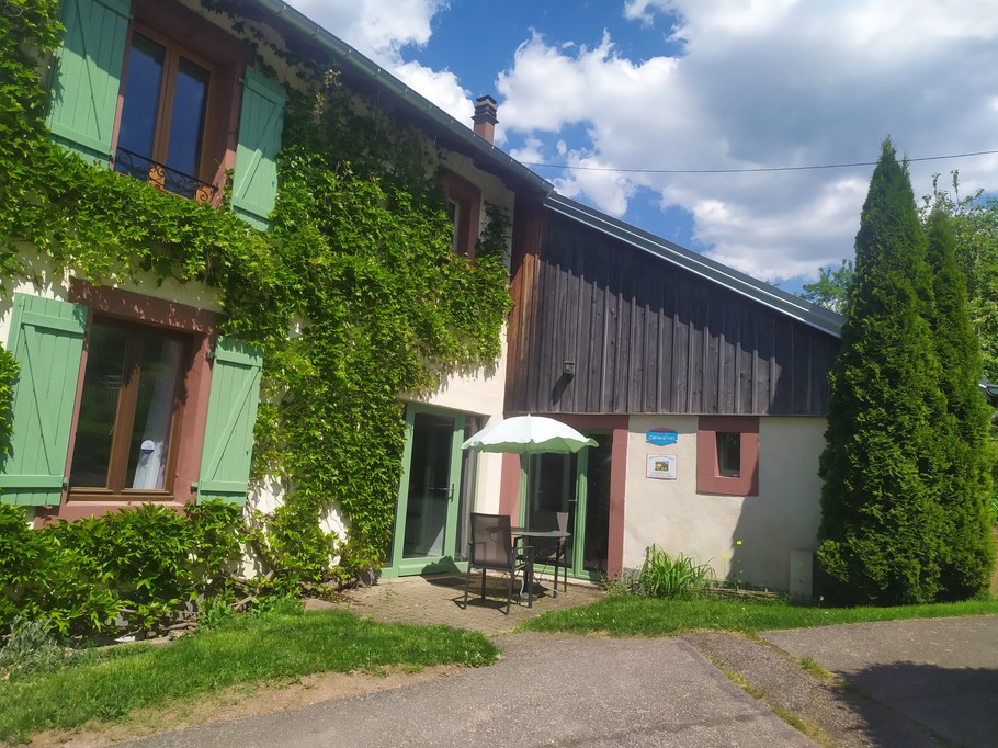 La terrasse, le hallier