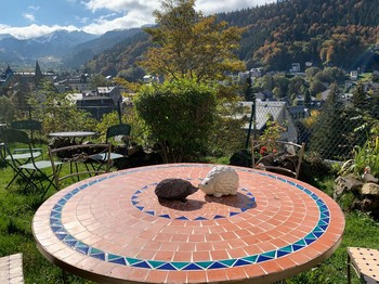 Vue panoramique du jardin de la villa val rose et possibilités de prendre vos repas