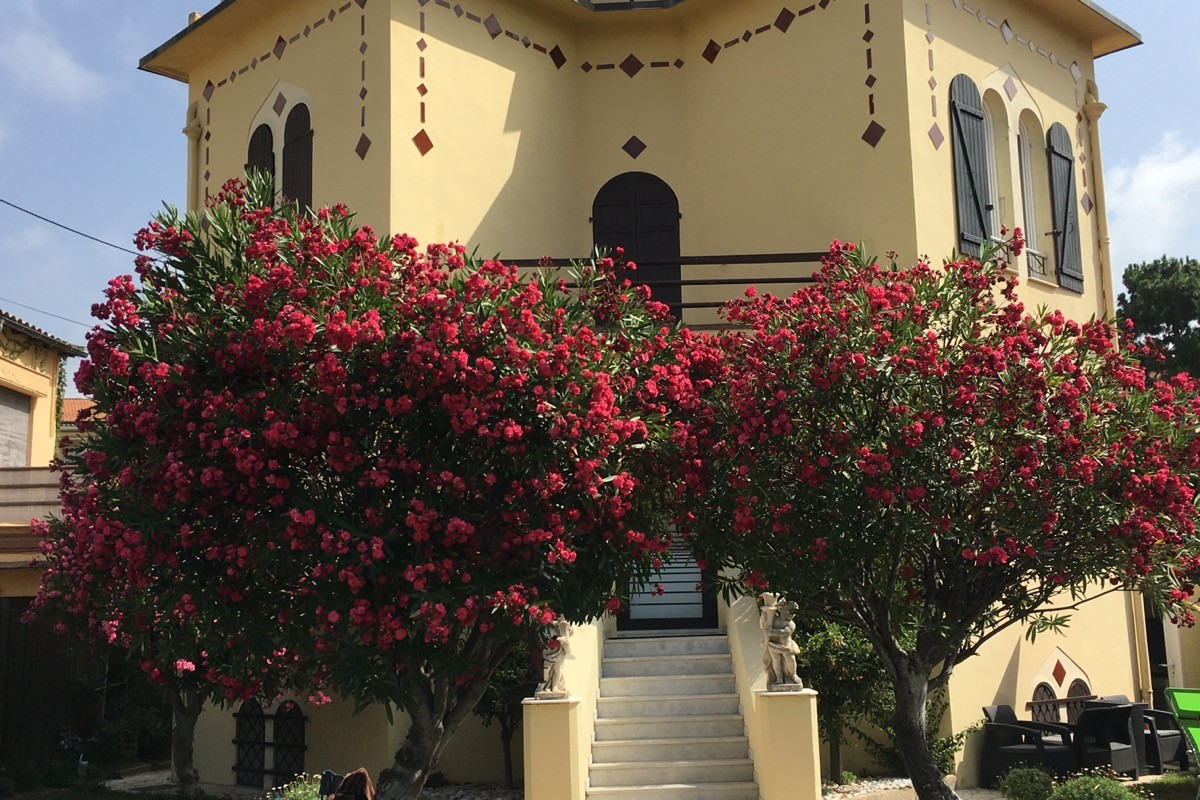Charmant studio, Promenade des Anglais, Nice Côte d'Azur