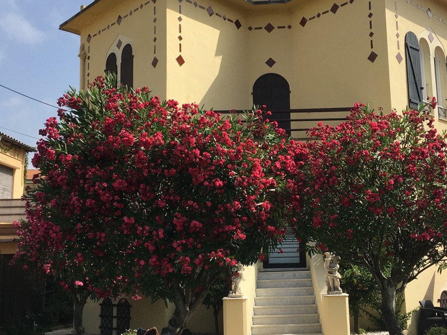 Charmant studio, Promenade des Anglais, Nice Côte d'Azur