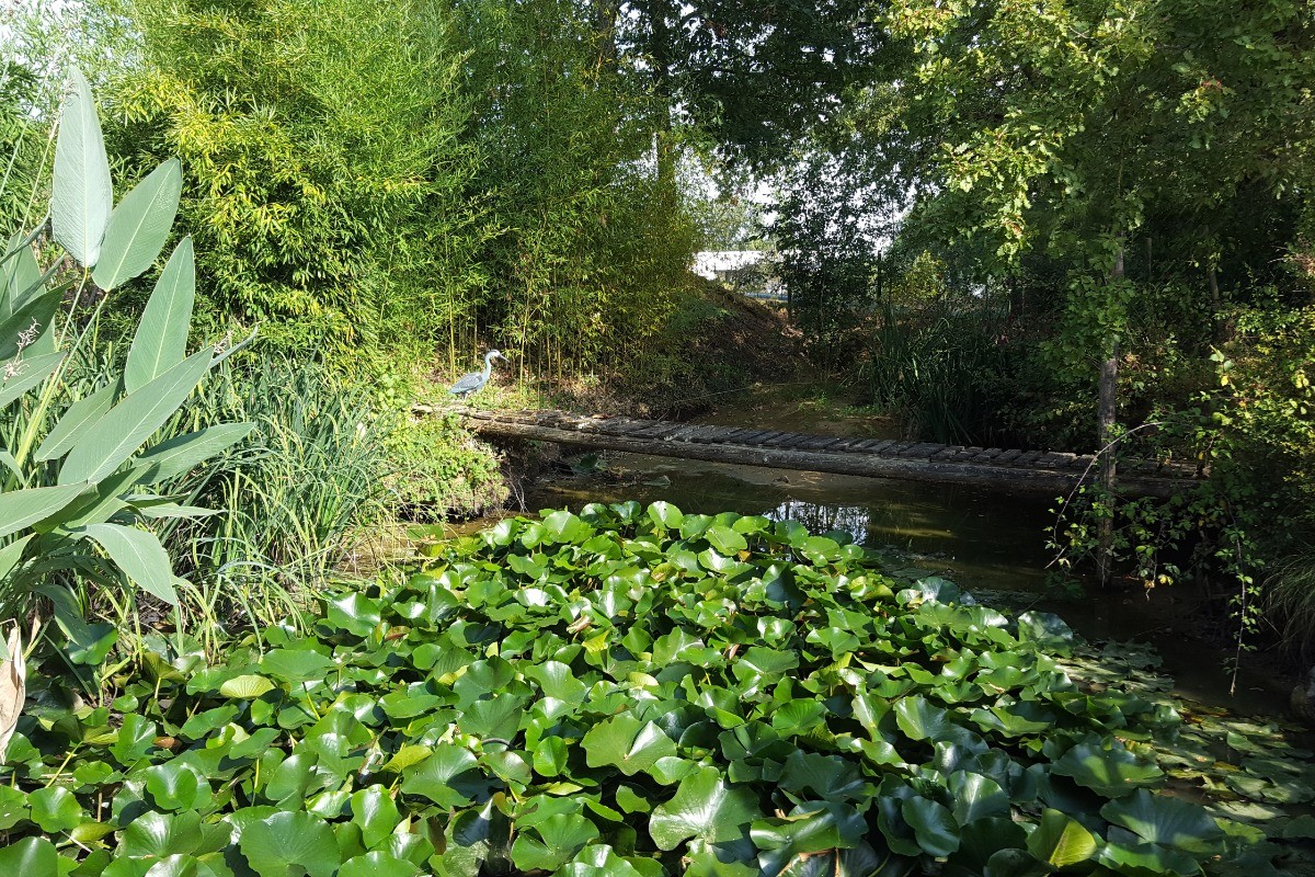 Photo n° 17 de la location