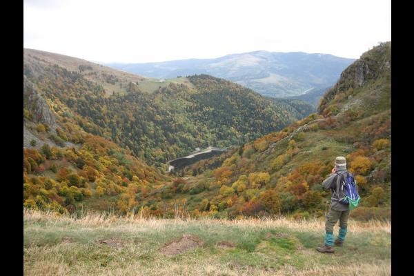 couleurs d'automne sur les crêtes - Appartement Jaune Jonquille