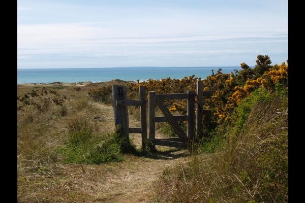 les dunes d'Hatainville