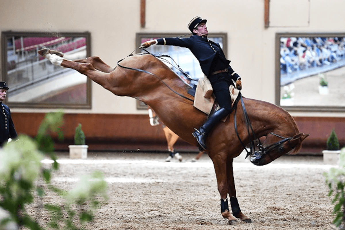 Le cadre noir à 9 km