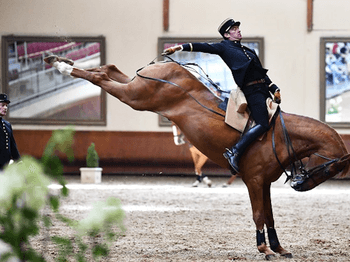 Le cadre noir à 9 km