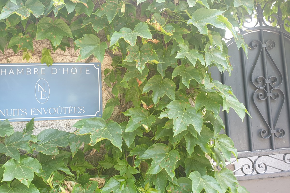 entrée